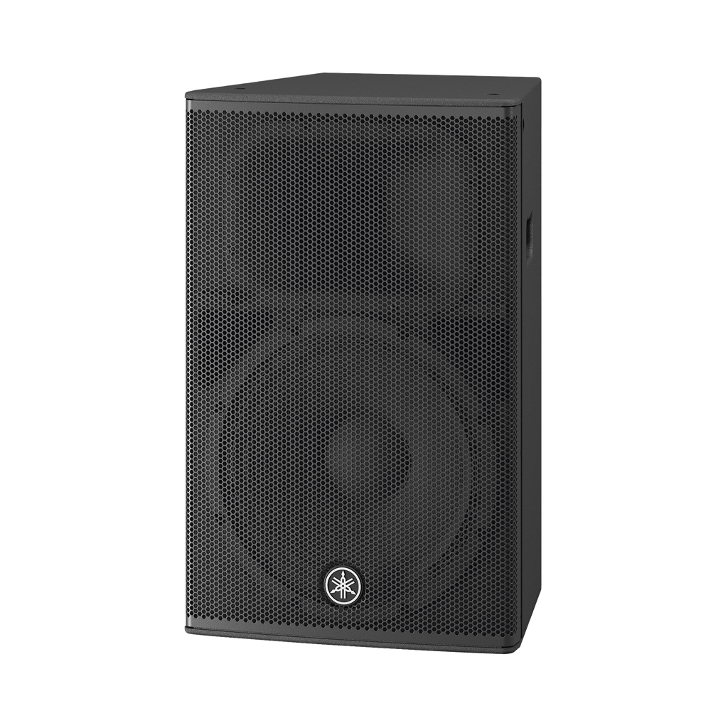 Altavoz Amplificado 15 pulgadas | Potencia: 1000w | Amplific…